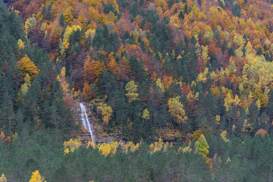 Huesca - valle de Pineta 11.jpg